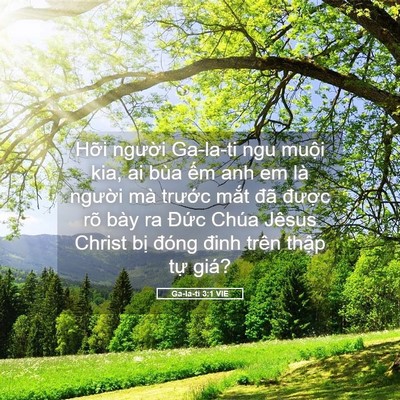 Picture 05 - Ga-la-ti 3:1 VIE - Hỡi người Ga-la-ti ngu muội kia, ai bùa - Bible Verse Picture