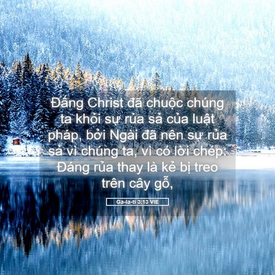 Picture 05 - Ga-la-ti 3:13 VIE - Đấng Christ đã chuộc chúng ta khỏi sự - Bible Verse Picture