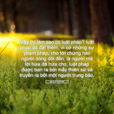 Picture 05 - Ga-la-ti 3:19 VIE - Vậy thì làm sao có luật pháp? luật - Bible Verse Picture
