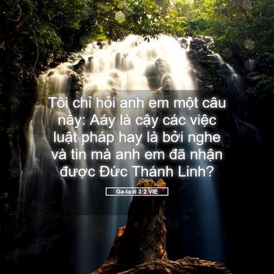 Picture 05 - Ga-la-ti 3:2 VIE - Tôi chỉ hỏi anh em một câu nầy: Aáy - Bible Verse Picture