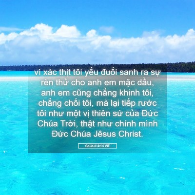 Picture 05 - Ga-la-ti 4:14 VIE - vì xác thịt tôi yếu đuối sanh ra sự - Bible Verse Picture