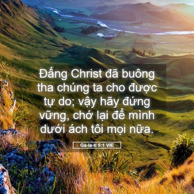 Picture 05 - Ga-la-ti 5:1 VIE - Đấng Christ đã buông tha chúng ta cho - Bible Verse Picture