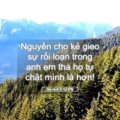 Picture 05 - Ga-la-ti 5:12 VIE - Nguyền cho kẻ gieo sự rối loạn trong - Bible Verse Picture