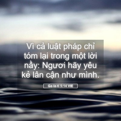 Picture 05 - Ga-la-ti 5:14 VIE - Vì cả luật pháp chỉ tóm lại trong - Bible Verse Picture