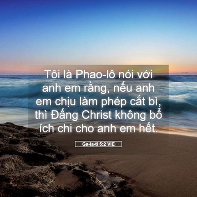 Picture 05 - Ga-la-ti 5:2 VIE - Tôi là Phao-lô nói với anh em rằng, nếu - Bible Verse Picture