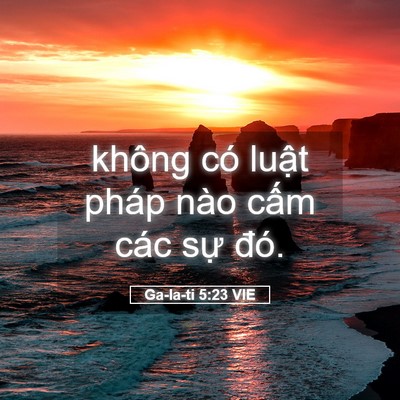 Picture 05 - Ga-la-ti 5:23 VIE - không có luật pháp nào cấm các sự - Bible Verse Picture