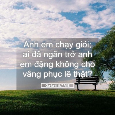Picture 05 - Ga-la-ti 5:7 VIE - Anh em chạy giỏi; ai đã ngăn trở anh em - Bible Verse Picture
