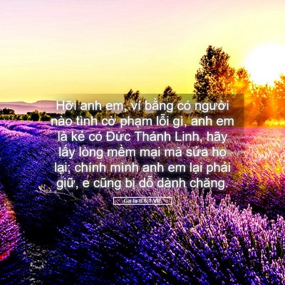 Picture 05 - Ga-la-ti 6:1 VIE - Hỡi anh em, ví bằng có người nào tình - Bible Verse Picture