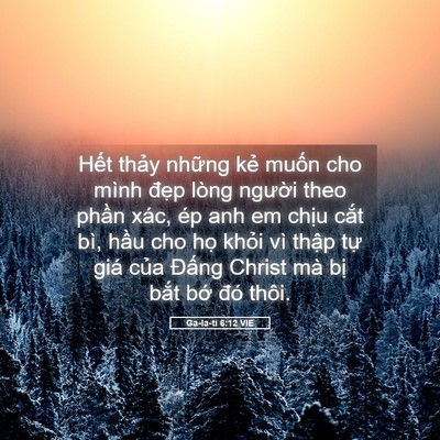 Picture 05 - Ga-la-ti 6:12 VIE - Hết thảy những kẻ muốn cho mình đẹp - Bible Verse Picture