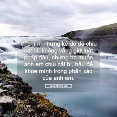 Picture 05 - Ga-la-ti 6:13 VIE - Vì chính những kẻ đó đã chịu cắt - Bible Verse Picture
