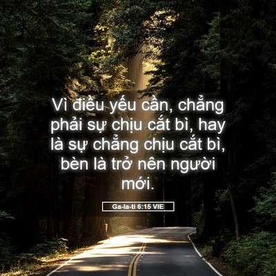 Picture 05 - Ga-la-ti 6:15 VIE - Vì điều yếu cần, chẳng phải sự - Bible Verse Picture