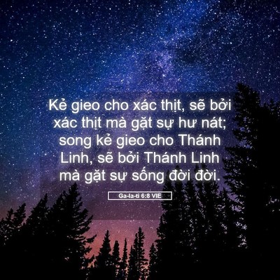 Picture 05 - Ga-la-ti 6:8 VIE - Kẻ gieo cho xác thịt, sẽ bởi xác thịt - Bible Verse Picture