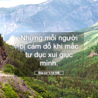 Picture 05 - Gia-cơ 1:14 VIE - Nhưng mỗi người bị cám dỗ khi mắc - Bible Verse Picture