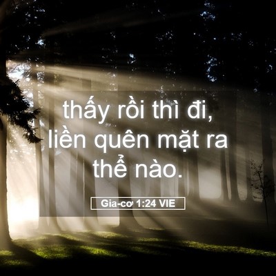 Picture 05 - Gia-cơ 1:24 VIE - thấy rồi thì đi, liền quên mặt ra - Bible Verse Picture