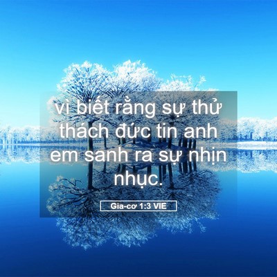 Picture 05 - Gia-cơ 1:3 VIE - vì biết rằng sự thử thách đức tin - Bible Verse Picture