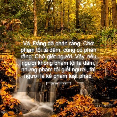 Picture 05 - Gia-cơ 2:11 VIE - Vả, Đấng đã phán rằng: Chớ phạm - Bible Verse Picture
