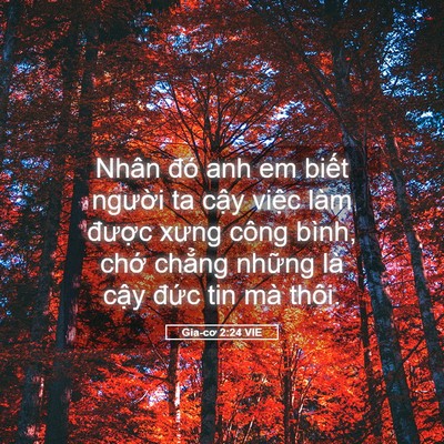 Picture 05 - Gia-cơ 2:24 VIE - Nhân đó anh em biết người ta cậy việc - Bible Verse Picture