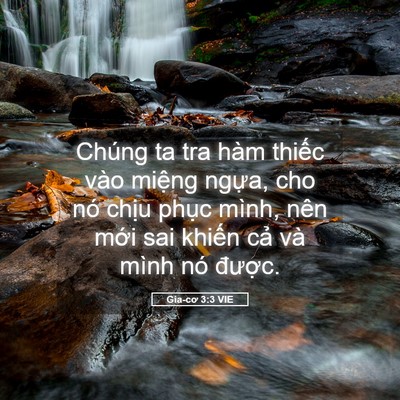 Picture 05 - Gia-cơ 3:3 VIE - Chúng ta tra hàm thiếc vào miệng ngựa, - Bible Verse Picture