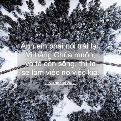 Picture 05 - Gia-cơ 4:15 VIE - Anh em phải nói trái lại: Ví bằng Chúa - Bible Verse Picture