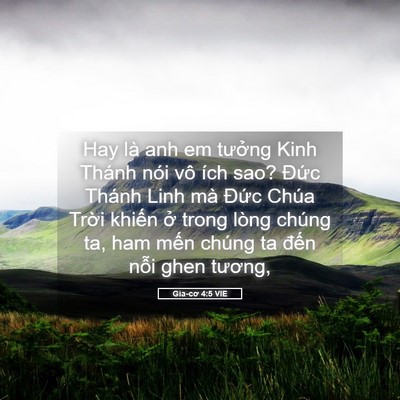Picture 05 - Gia-cơ 4:5 VIE - Hay là anh em tưởng Kinh Thánh nói vô ích - Bible Verse Picture