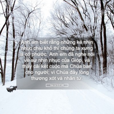 Picture 05 - Gia-cơ 5:11 VIE - Anh em biết rằng những kẻ nhịn nhục - Bible Verse Picture