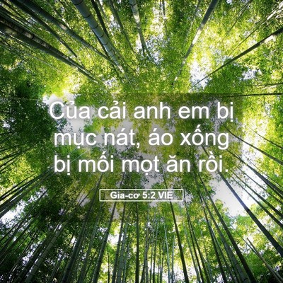 Picture 05 - Gia-cơ 5:2 VIE - Của cải anh em bị mục nát, áo xống - Bible Verse Picture