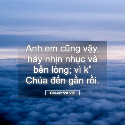 Picture 05 - Gia-cơ 5:8 VIE - Anh em cũng vậy, hãy nhịn nhục và bền - Bible Verse Picture