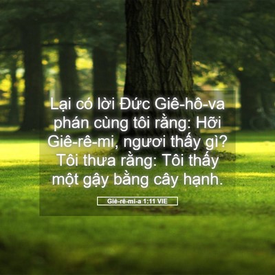 Picture 05 - Giê-rê-mi-a 1:11 VIE - Lại có lời Đức Giê-hô-va phán cùng - Bible Verse Picture