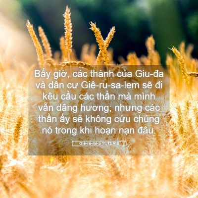Picture 05 - Giê-rê-mi-a 11:12 VIE - Bấy giờ, các thành của Giu-đa và dân - Bible Verse Picture