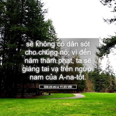 Picture 05 - Giê-rê-mi-a 11:23 VIE - sẽ không có dân sót cho chúng nó; vì - Bible Verse Picture