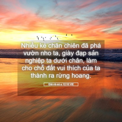 Picture 05 - Giê-rê-mi-a 12:10 VIE - Nhiều kẻ chăn chiên đã phá vườn nho - Bible Verse Picture