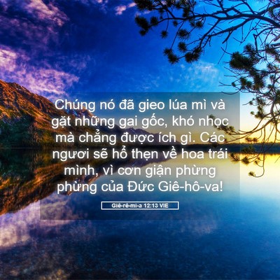 Picture 05 - Giê-rê-mi-a 12:13 VIE - Chúng nó đã gieo lúa mì và gặt những - Bible Verse Picture