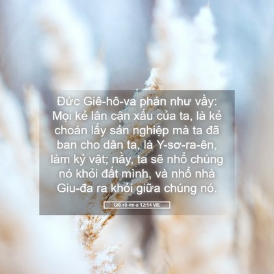 Picture 05 - Giê-rê-mi-a 12:14 VIE - Đức Giê-hô-va phán như vầy: Mọi kẻ - Bible Verse Picture