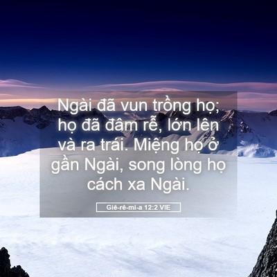 Picture 05 - Giê-rê-mi-a 12:2 VIE - Ngài đã vun trồng họ; họ đã đâm - Bible Verse Picture