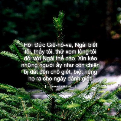 Picture 05 - Giê-rê-mi-a 12:3 VIE - Hỡi Đức Giê-hô-va, Ngài biết tôi, - Bible Verse Picture