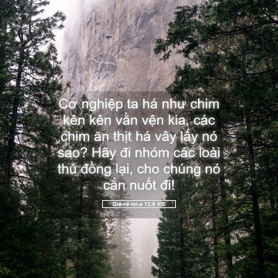Picture 05 - Giê-rê-mi-a 12:9 VIE - Cơ nghiệp ta há như chim kên kên vằn - Bible Verse Picture
