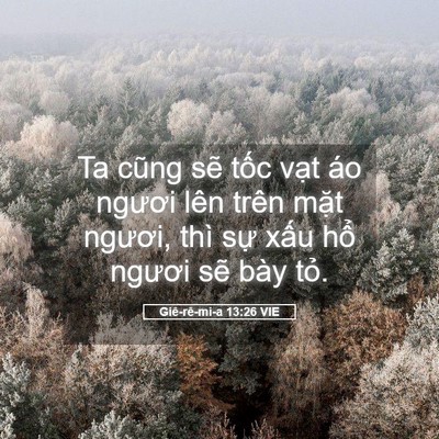 Picture 05 - Giê-rê-mi-a 13:26 VIE - Ta cũng sẽ tốc vạt áo ngươi lên trên - Bible Verse Picture