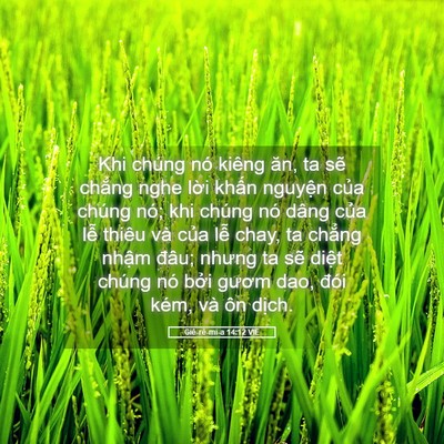 Picture 05 - Giê-rê-mi-a 14:12 VIE - Khi chúng nó kiêng ăn, ta sẽ chẳng nghe - Bible Verse Picture