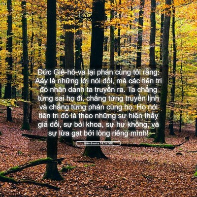 Picture 05 - Giê-rê-mi-a 14:14 VIE - Đức Giê-hô-va lại phán cùng tôi rằng: - Bible Verse Picture