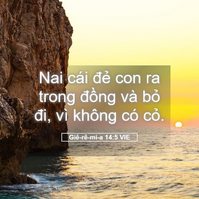 Picture 05 - Giê-rê-mi-a 14:5 VIE - Nai cái đẻ con ra trong đồng và bỏ đi, - Bible Verse Picture