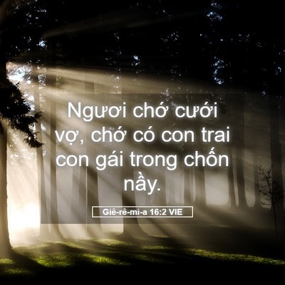 Picture 05 - Giê-rê-mi-a 16:2 VIE - Ngươi chớ cưới vợ, chớ có con trai - Bible Verse Picture