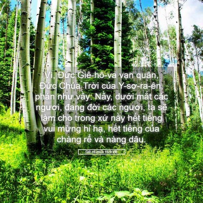 Picture 05 - Giê-rê-mi-a 16:9 VIE - Vì, Đức Giê-hô-va vạn quân, Đức Chúa - Bible Verse Picture