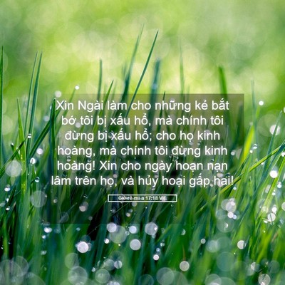 Picture 05 - Giê-rê-mi-a 17:18 VIE - Xin Ngài làm cho những kẻ bắt bớ tôi - Bible Verse Picture