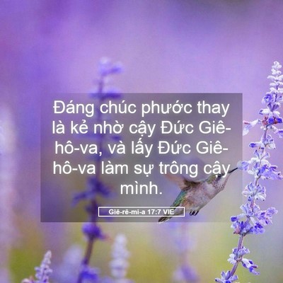 Picture 05 - Giê-rê-mi-a 17:7 VIE - Đáng chúc phước thay là kẻ nhờ cậy - Bible Verse Picture