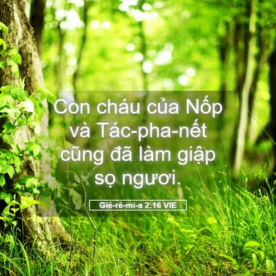 Picture 05 - Giê-rê-mi-a 2:16 VIE - Con cháu của Nốp và Tác-pha-nết cũng - Bible Verse Picture