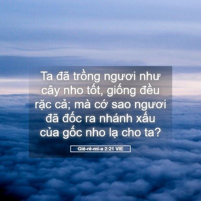 Picture 05 - Giê-rê-mi-a 2:21 VIE - Ta đã trồng ngươi như cây nho tốt, - Bible Verse Picture