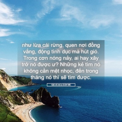 Picture 05 - Giê-rê-mi-a 2:24 VIE - như lừa cái rừng, quen nơi đồng vắng, - Bible Verse Picture