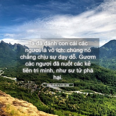 Picture 05 - Giê-rê-mi-a 2:30 VIE - Ta đã đánh con cái các ngươi là vô - Bible Verse Picture
