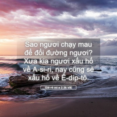 Picture 05 - Giê-rê-mi-a 2:36 VIE - Sao ngươi chạy mau để đổi đường - Bible Verse Picture