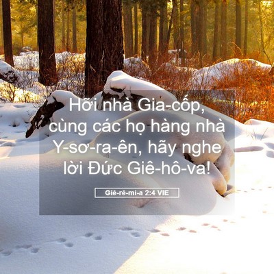 Picture 05 - Giê-rê-mi-a 2:4 VIE - Hỡi nhà Gia-cốp, cùng các họ hàng nhà - Bible Verse Picture